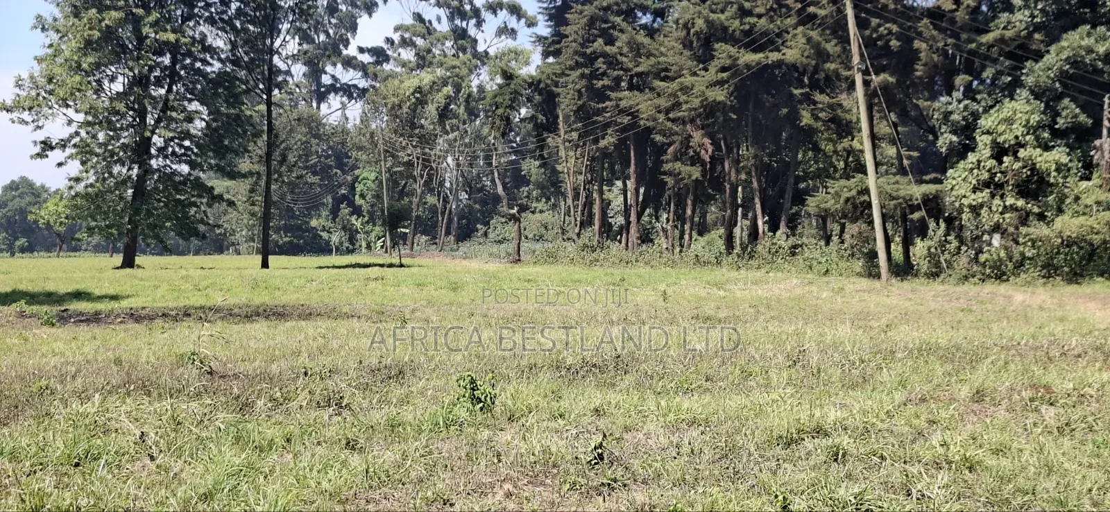 5 Acres Prime Development Land – Tilisi, Kiambu in Tigoni