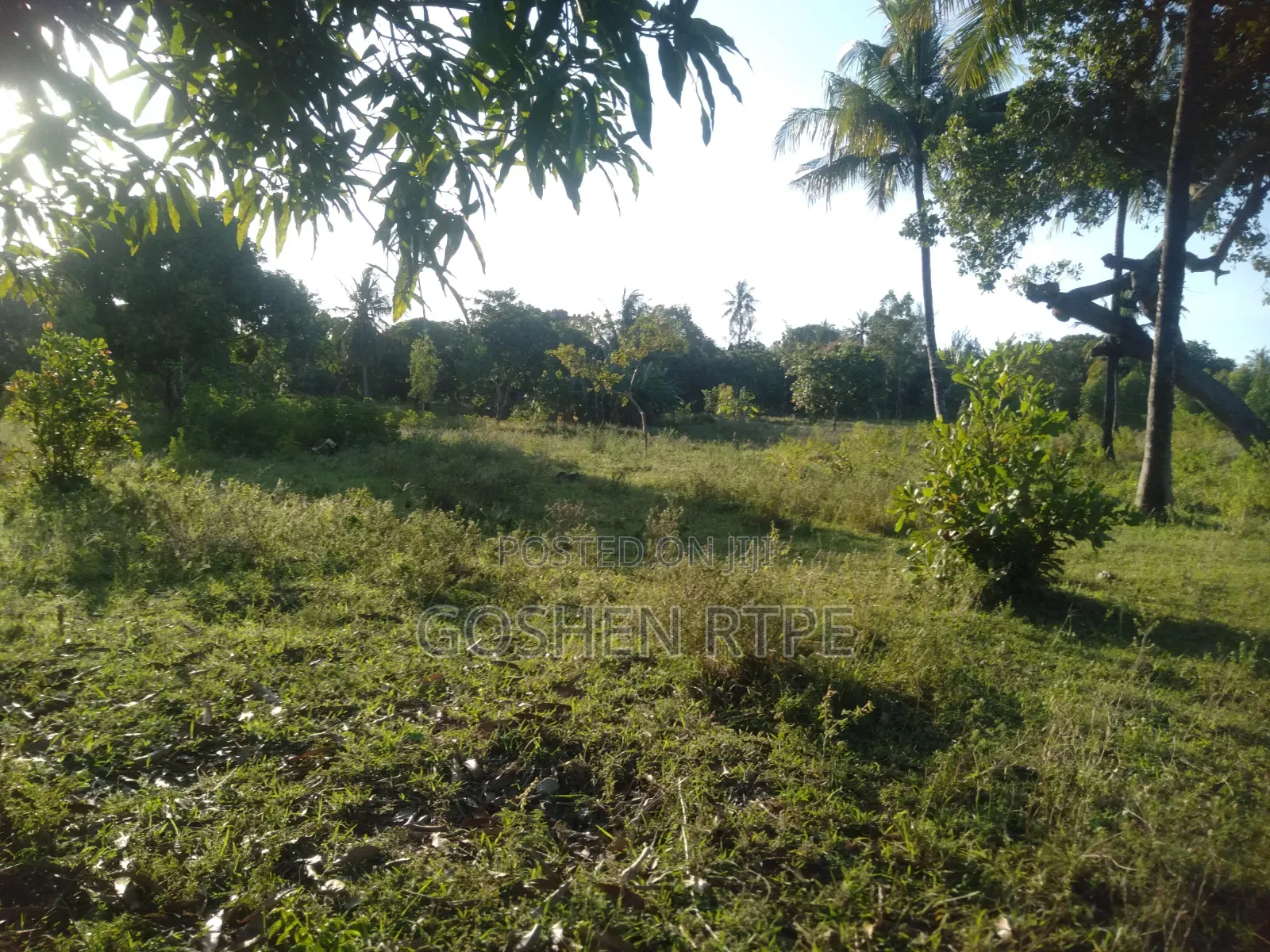 Prime 1/4 Acre at KSH 1.87M on Sale at Dogo Kundu-Kiteje Kwale County in Waa