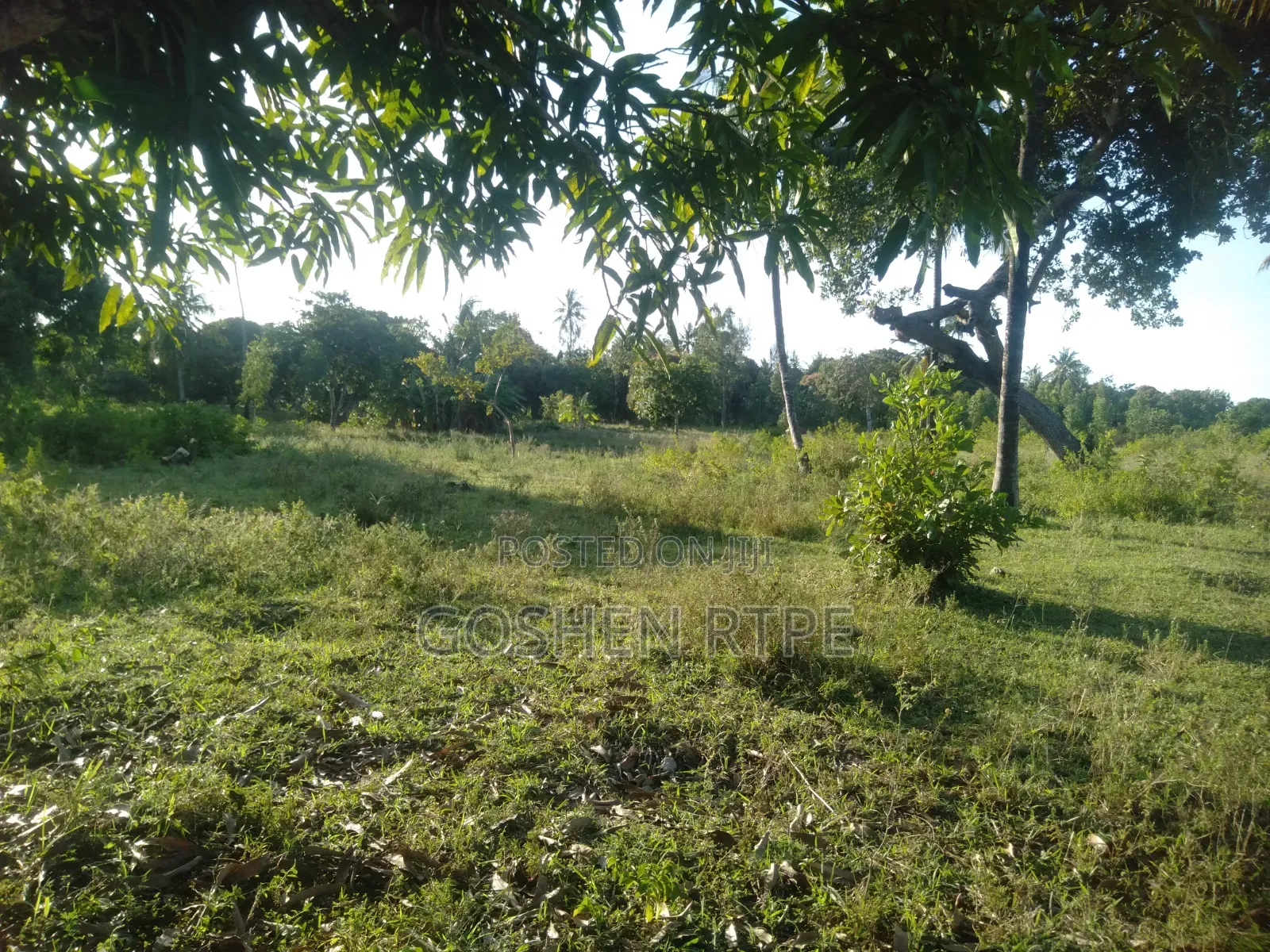 Prime 1/4 Acre at KSH 1.87M on Sale at Dogo Kundu-Kiteje Kwale County in Waa