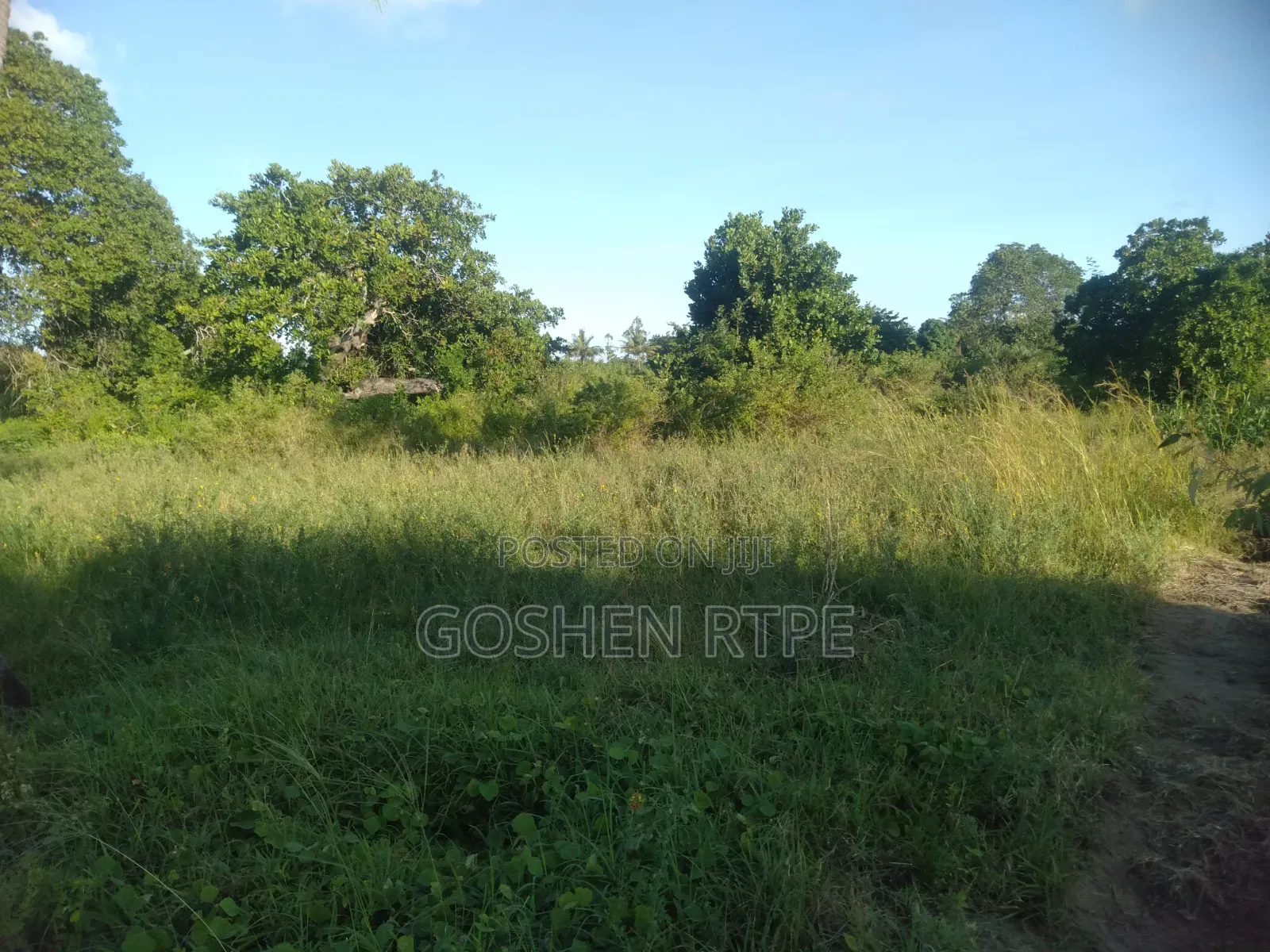 Prime 1/4 Acre at KSH 1.87M on Sale at Dogo Kundu-Kiteje Kwale County in Waa