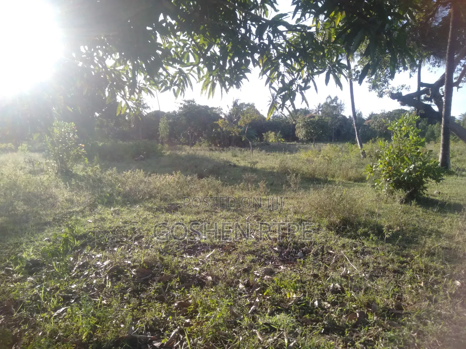 Prime 1/4 Acre at KSH 1.87M on Sale at Dogo Kundu-Kiteje Kwale County in Waa