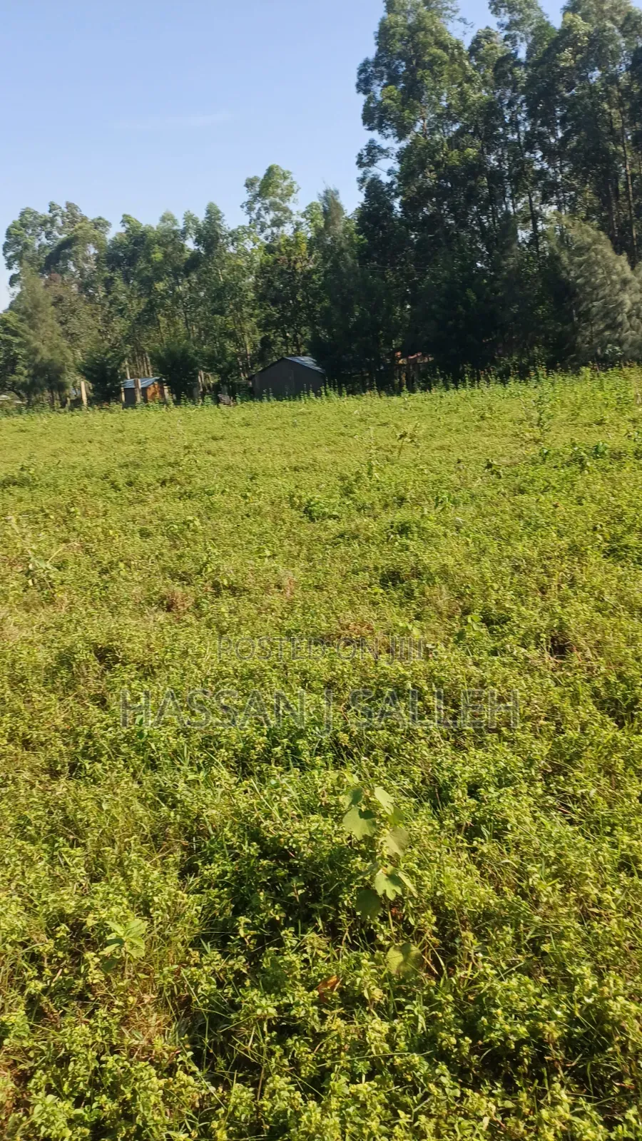 2acres Indangalasia  Matungu in Mayoni