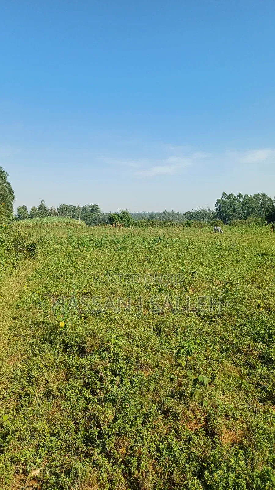 2acres Indangalasia  Matungu in Mayoni