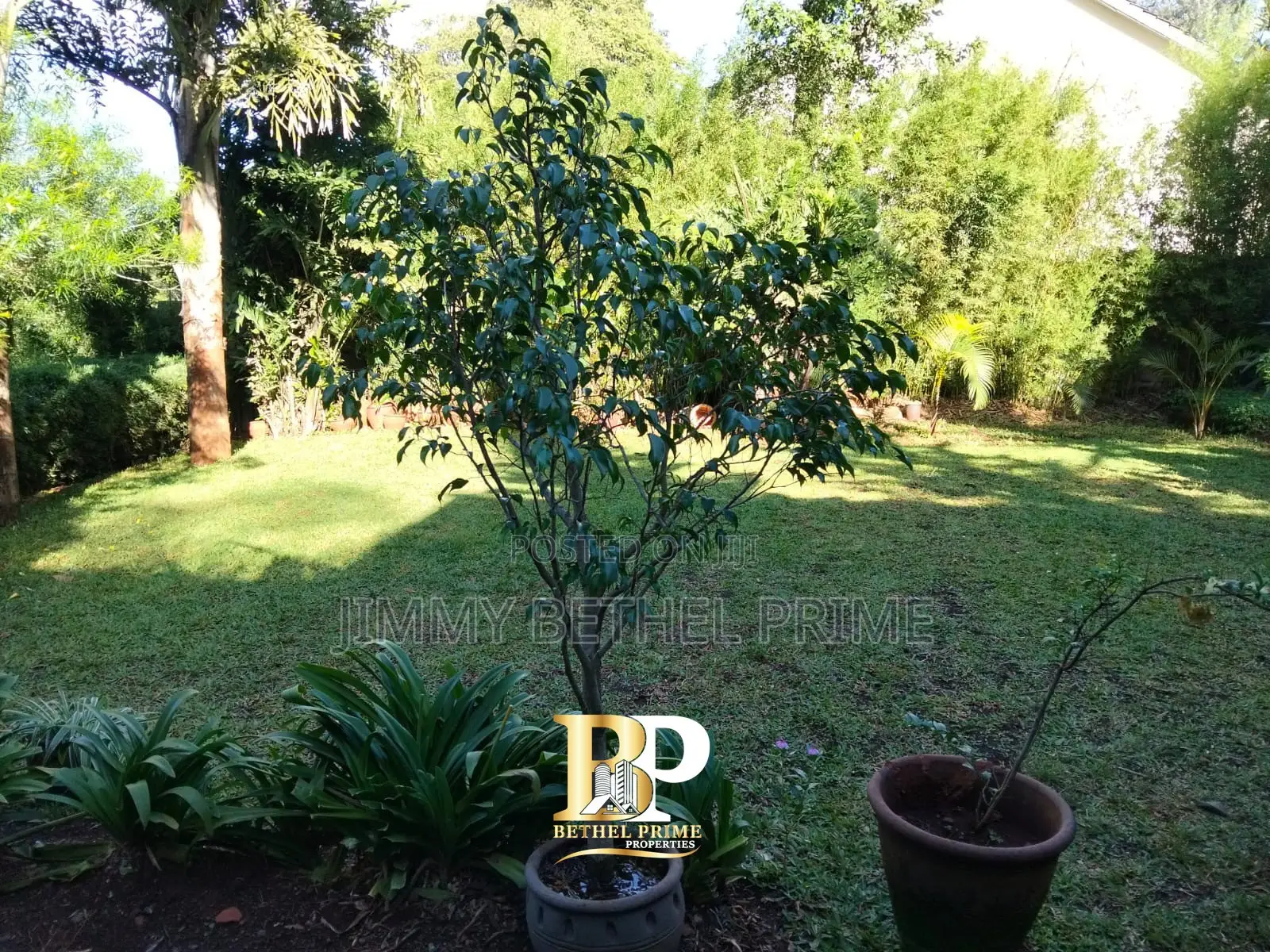 Furnished 1bdrm House in Kitisuru for rent in Kitisuru