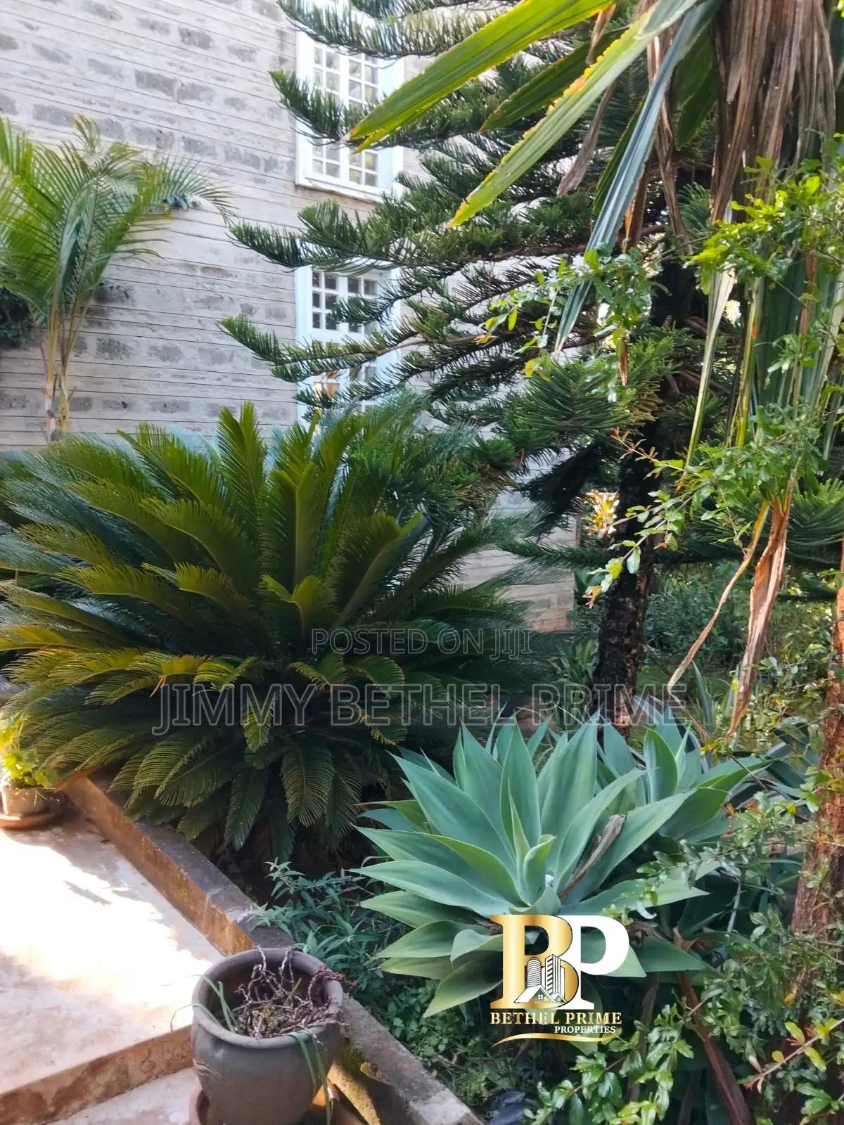 Furnished 1bdrm House in Kitisuru for rent in Kitisuru