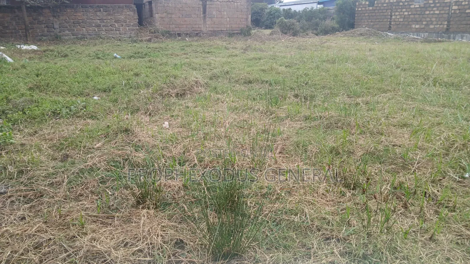 50ft by 100ft Prime Plots for Sale in Ongata Rongai Gataka Road. in Gataka