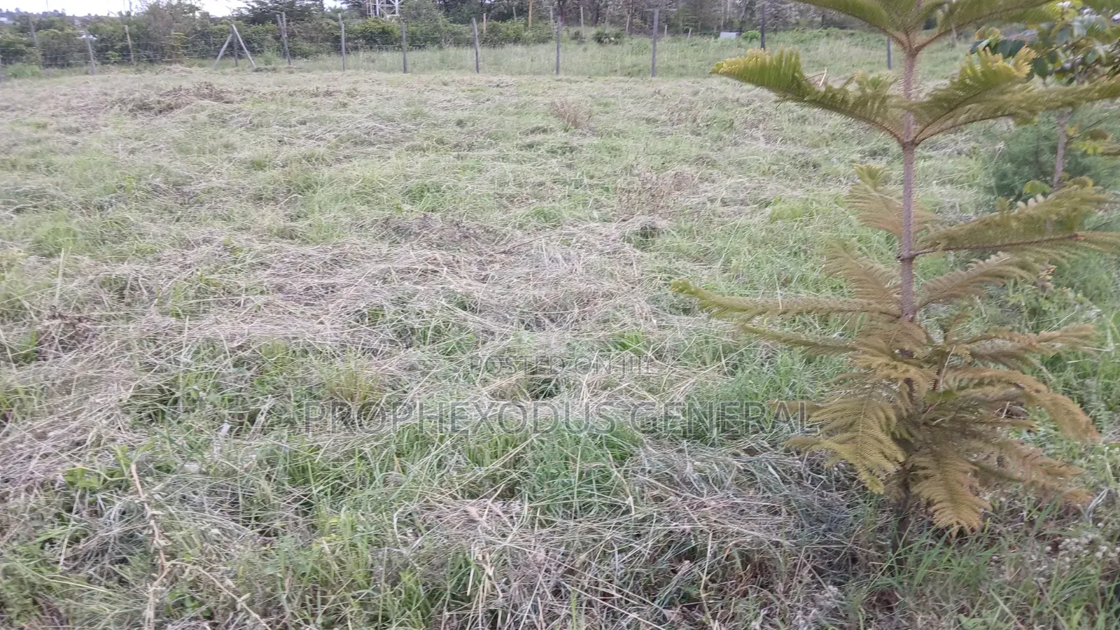 1 Acre Prime Land for Sale in Ongata Rongai Masaai Lodge.. in Maasai Lodge