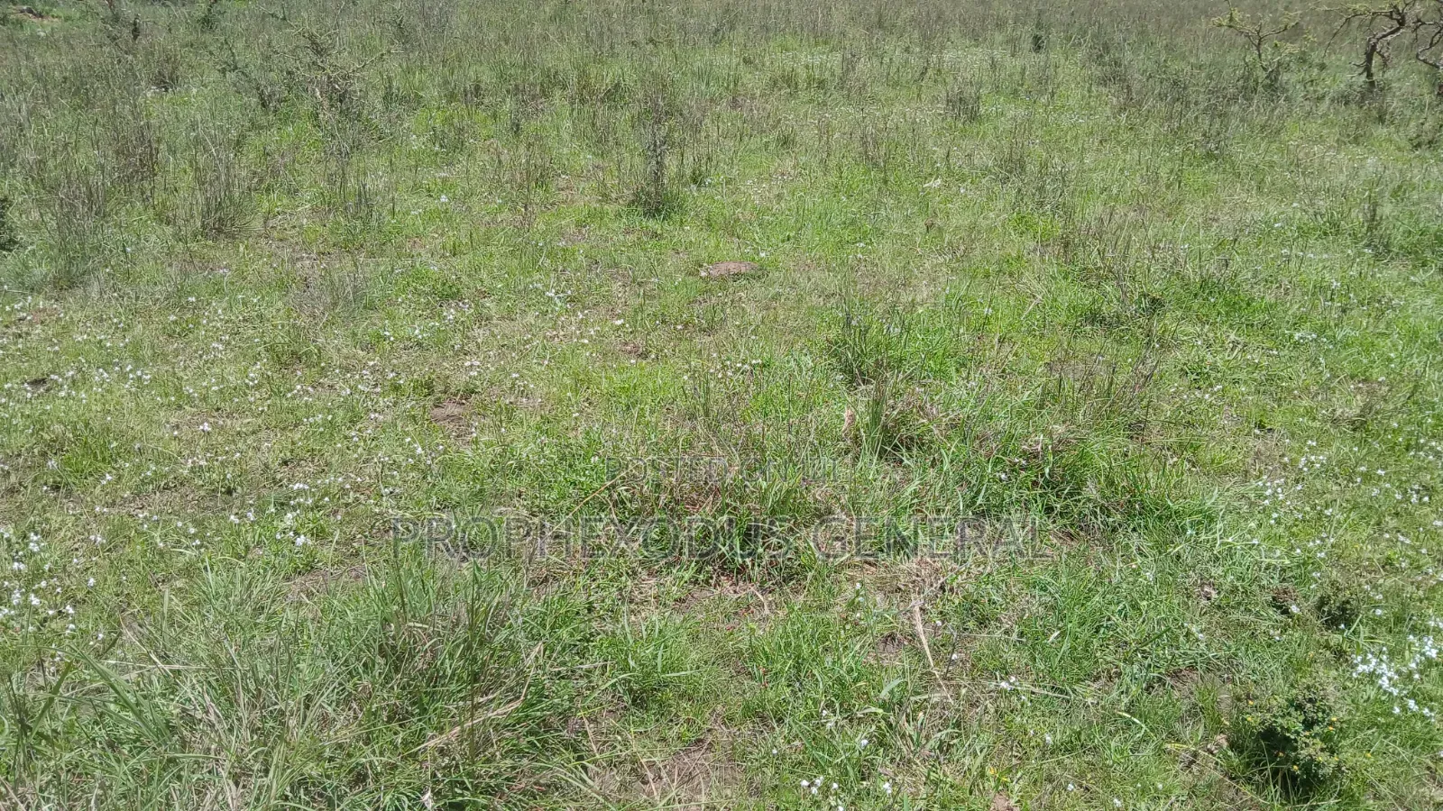 1/2 an Acre Prime Land for Sale in Ongata Rongai Masaai Lodge. in Maasai Lodge