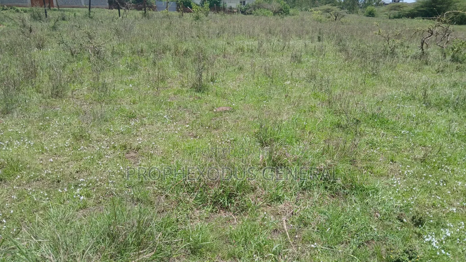 1/2 an Acre Prime Land for Sale in Ongata Rongai Masaai Lodge. in Maasai Lodge