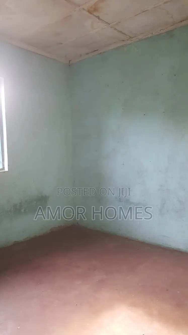 Studio Apartment in Blue Bench, Mshomoroni for rent in Mshomoroni