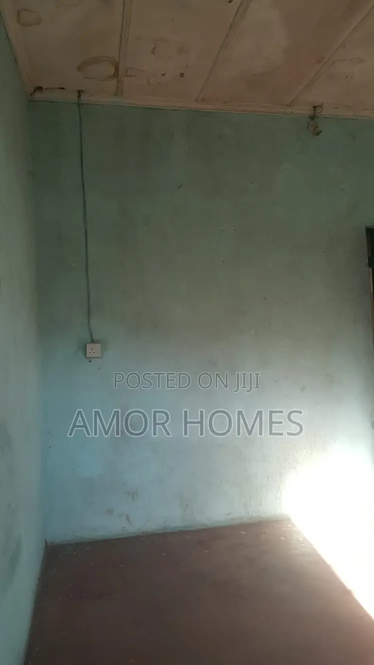 Studio Apartment in Blue Bench, Mshomoroni for rent in Mshomoroni