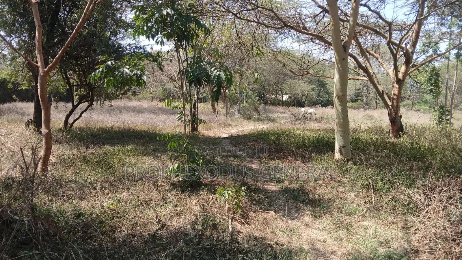 1/4 Acre Prime Plots for Sale in Ongata Rongai Town. in Maasai Lodge