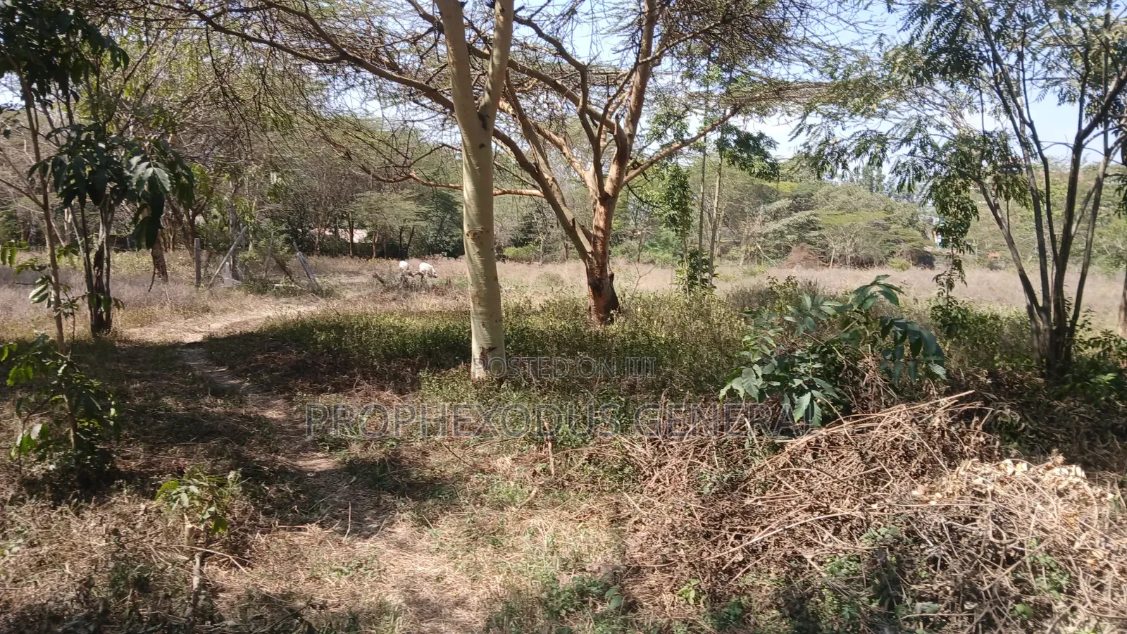 1/4 Acre Prime Plots for Sale in Ongata Rongai Town. in Maasai Lodge
