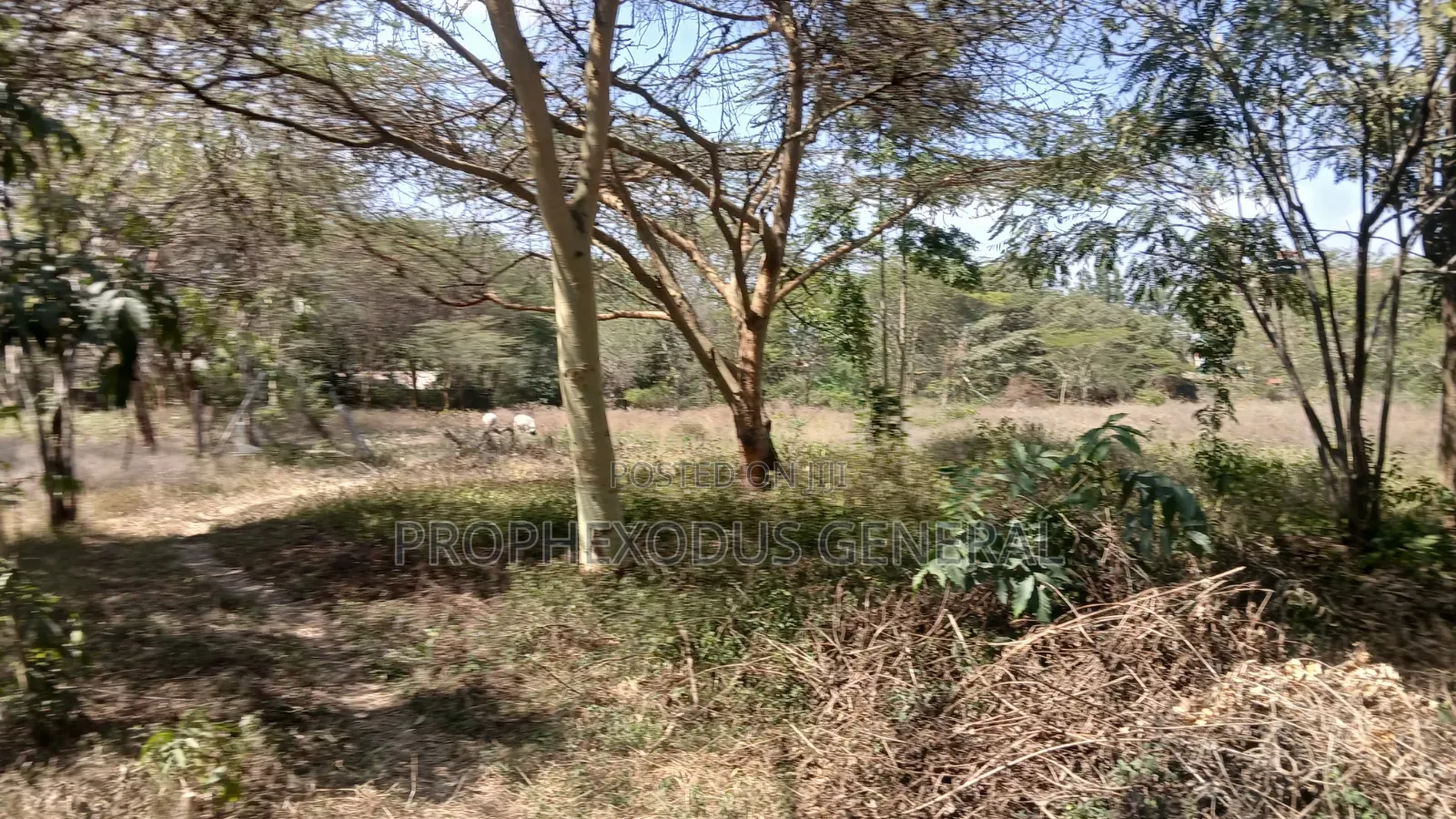 1/4 Acre Prime Plots for Sale in Ongata Rongai Town. in Maasai Lodge