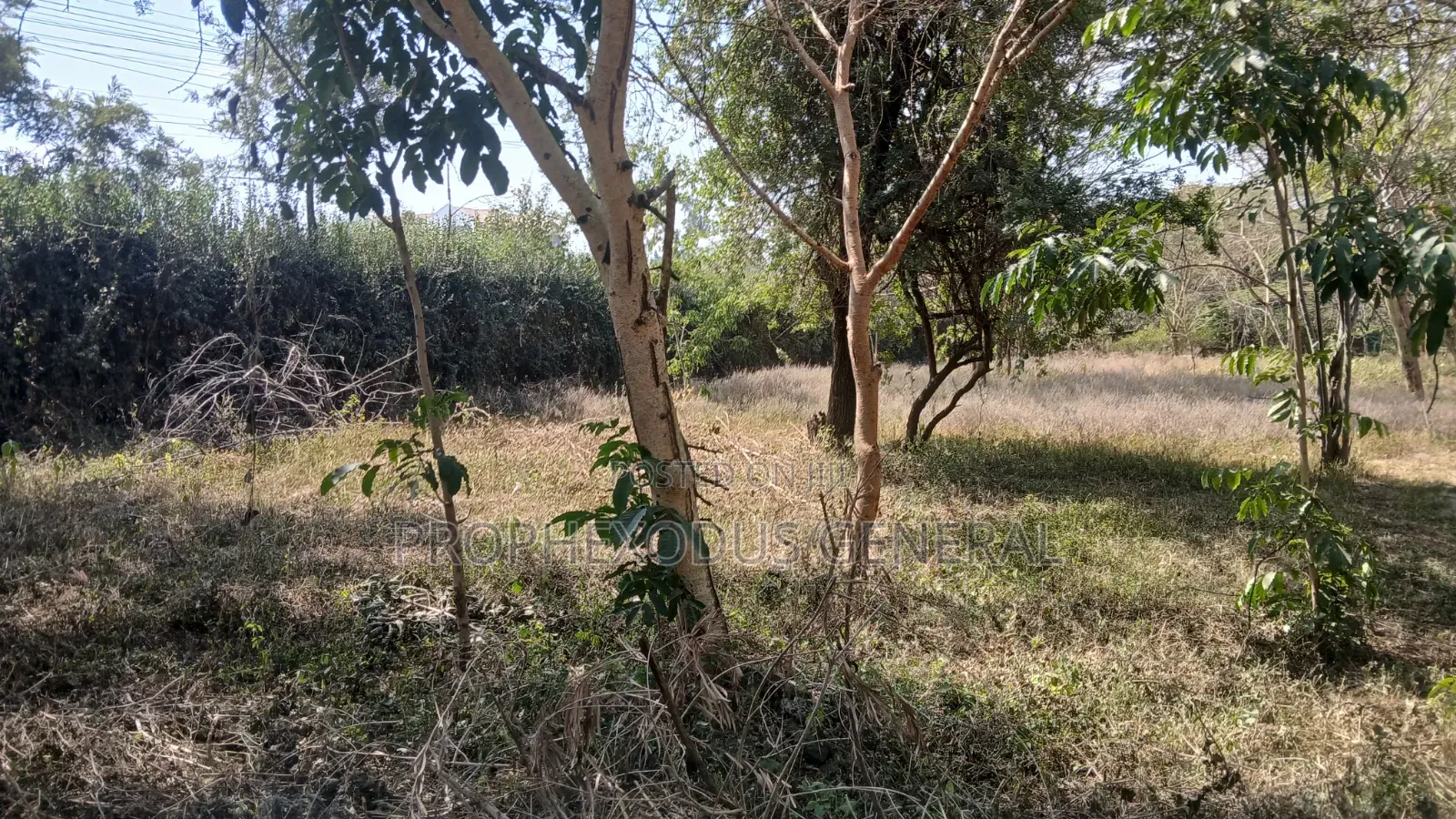 1/4 Acre Prime Plots for Sale in Ongata Rongai Town. in Maasai Lodge
