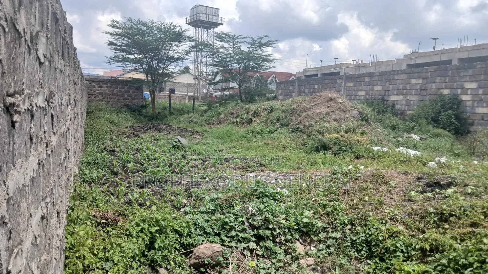 50ft by 100ft Prime Plots for Sale in Ongata Rongai Town. in Maasai Lodge