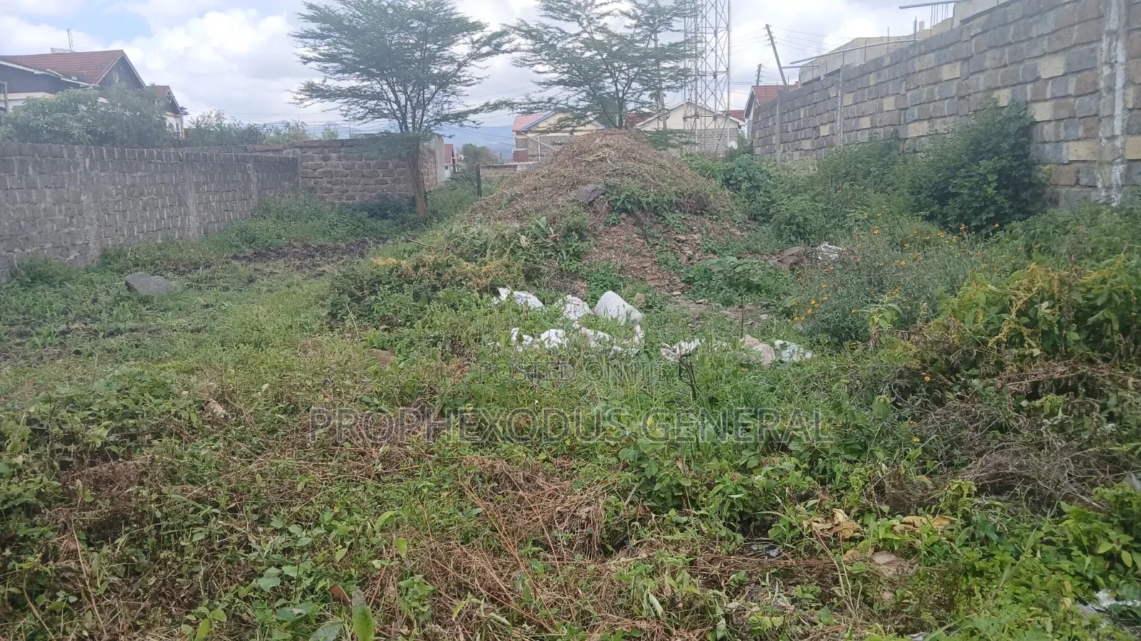 50ft by 100ft Prime Plots for Sale in Ongata Rongai Town. in Maasai Lodge