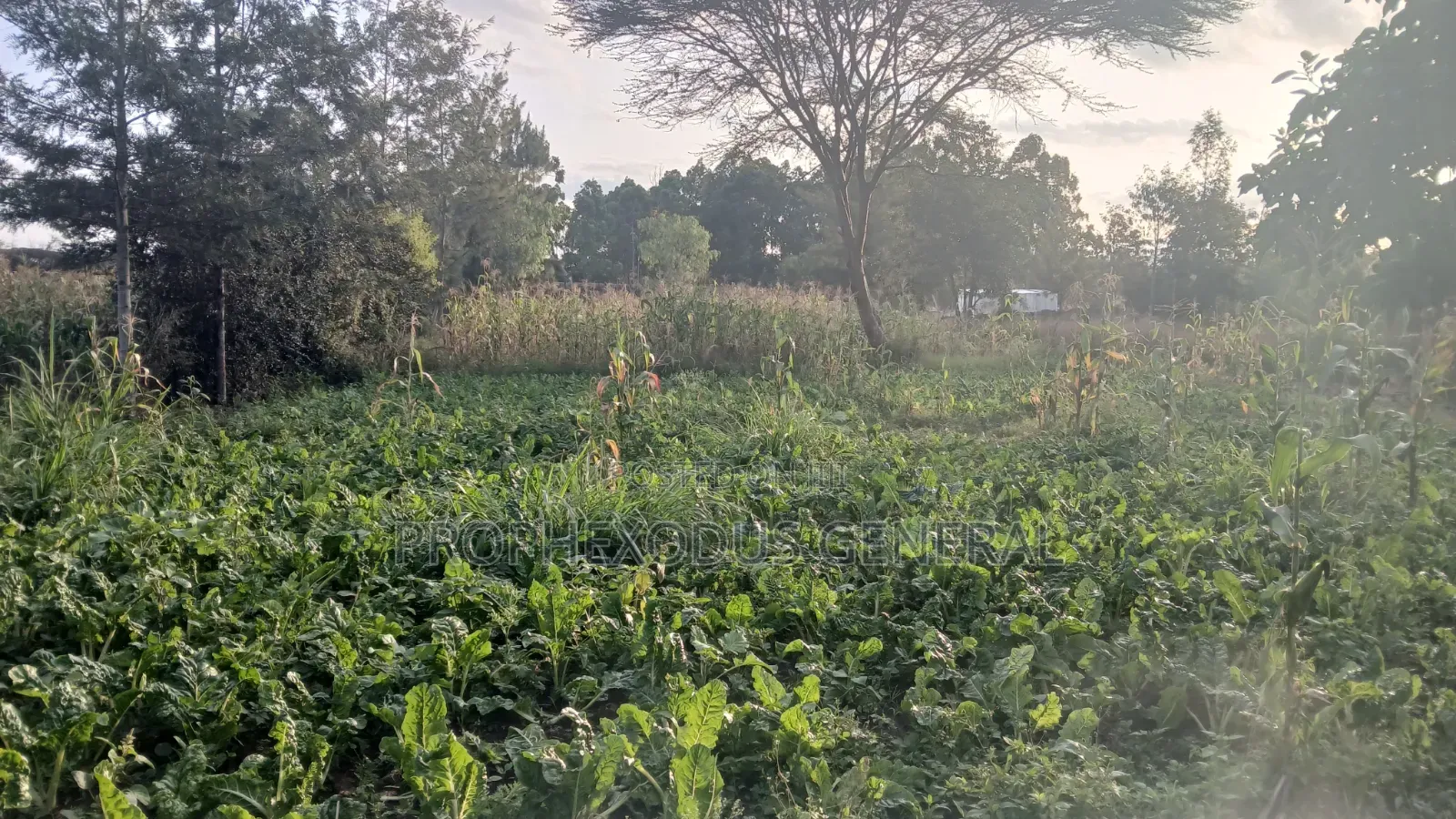 1/8 Prime Plots for Sale in Ongata Rongai Rimpa in Rimpa