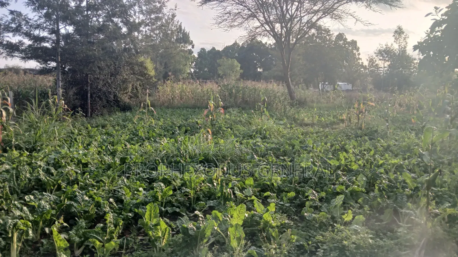1/8 Prime Plots for Sale in Ongata Rongai Rimpa in Rimpa