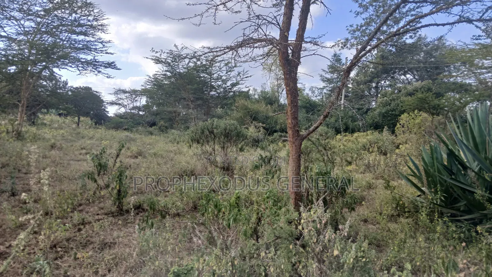 1/8 Acre Plots for Sale in Ongata Rongai Nkoroi in Nkoroi