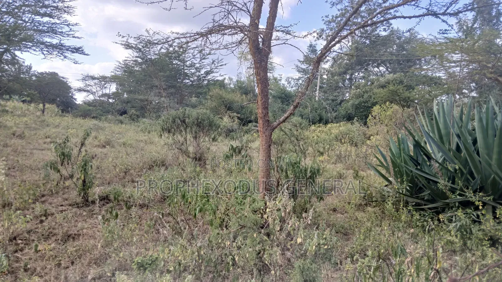 1/8 Acre Plots for Sale in Ongata Rongai Nkoroi in Nkoroi