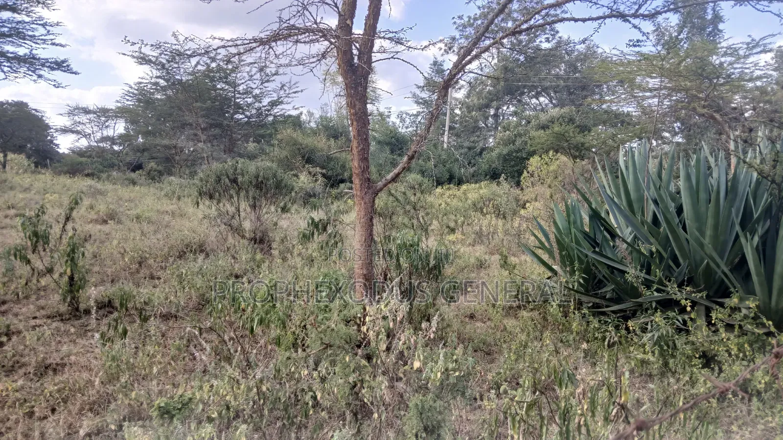 1/8 Acre Plots for Sale in Ongata Rongai Nkoroi in Nkoroi