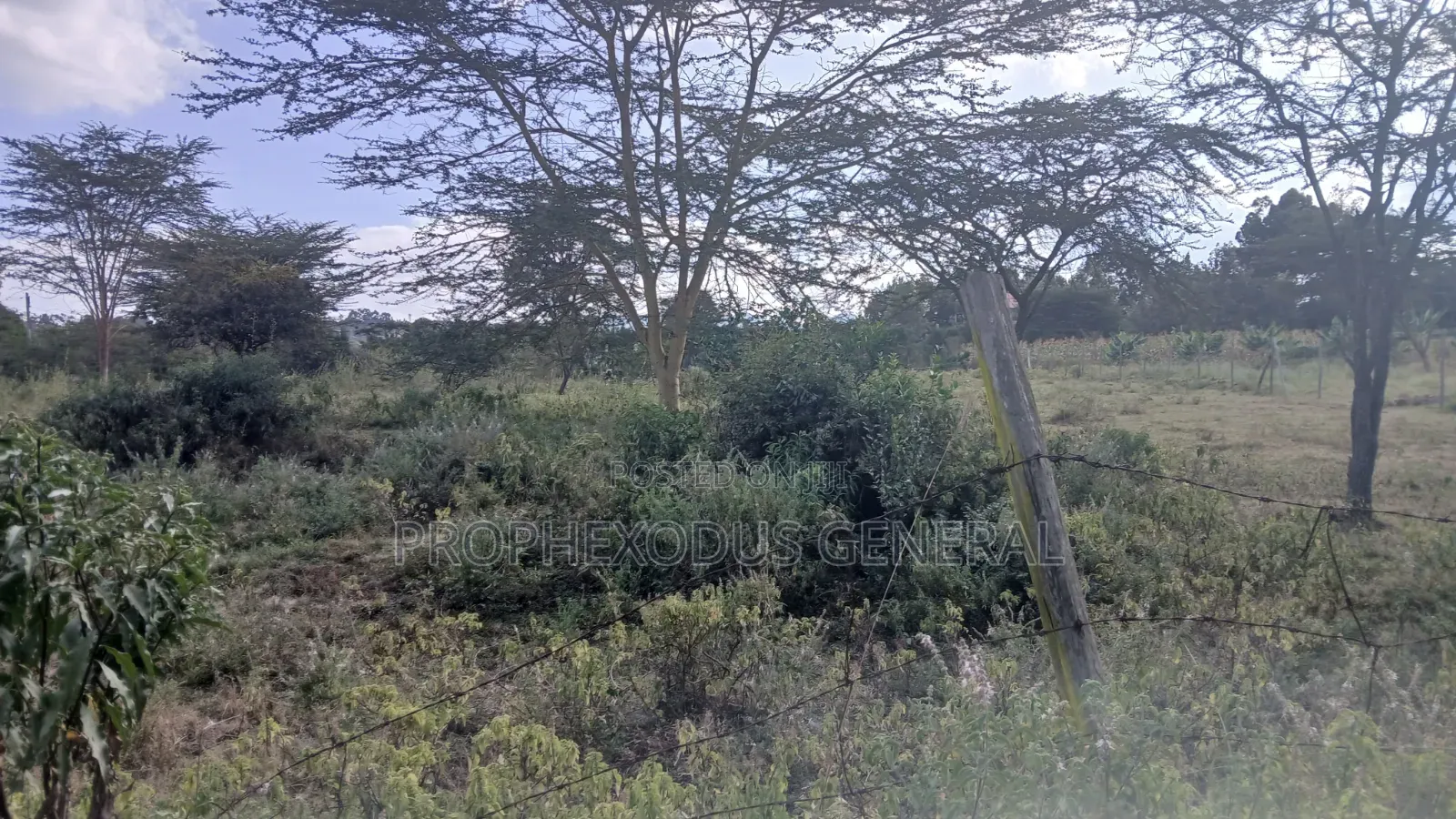 1/8 Acre Plots for Sale in Ongata Rongai Nkoroi in Nkoroi