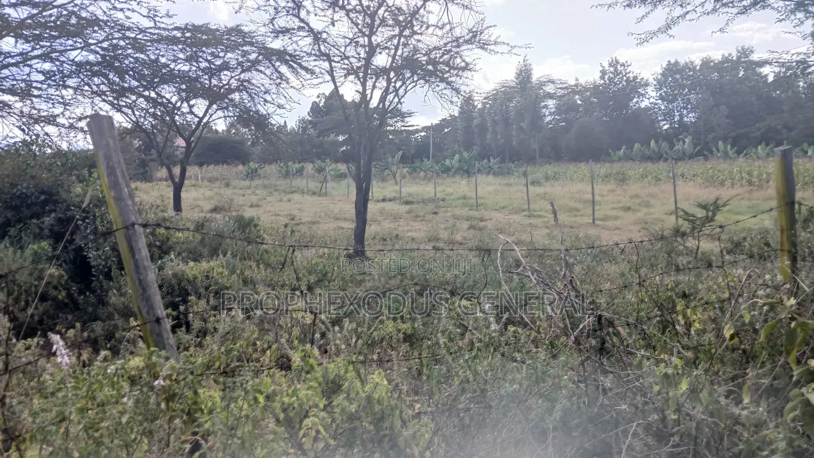 1/8 Acre Plots for Sale in Ongata Rongai Nkoroi in Nkoroi