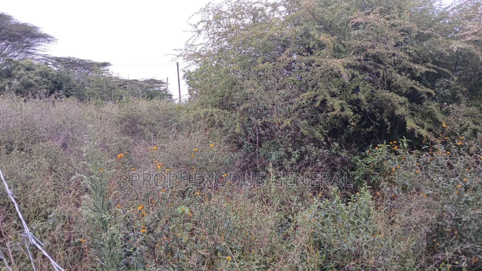 1/8 Acre Plots for Sale in Ongata Rongai Kamura Oloika Road in Nkoroi