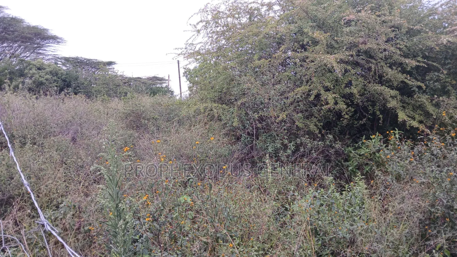 1/8 Acre Plots for Sale in Ongata Rongai Kamura Oloika Road in Nkoroi