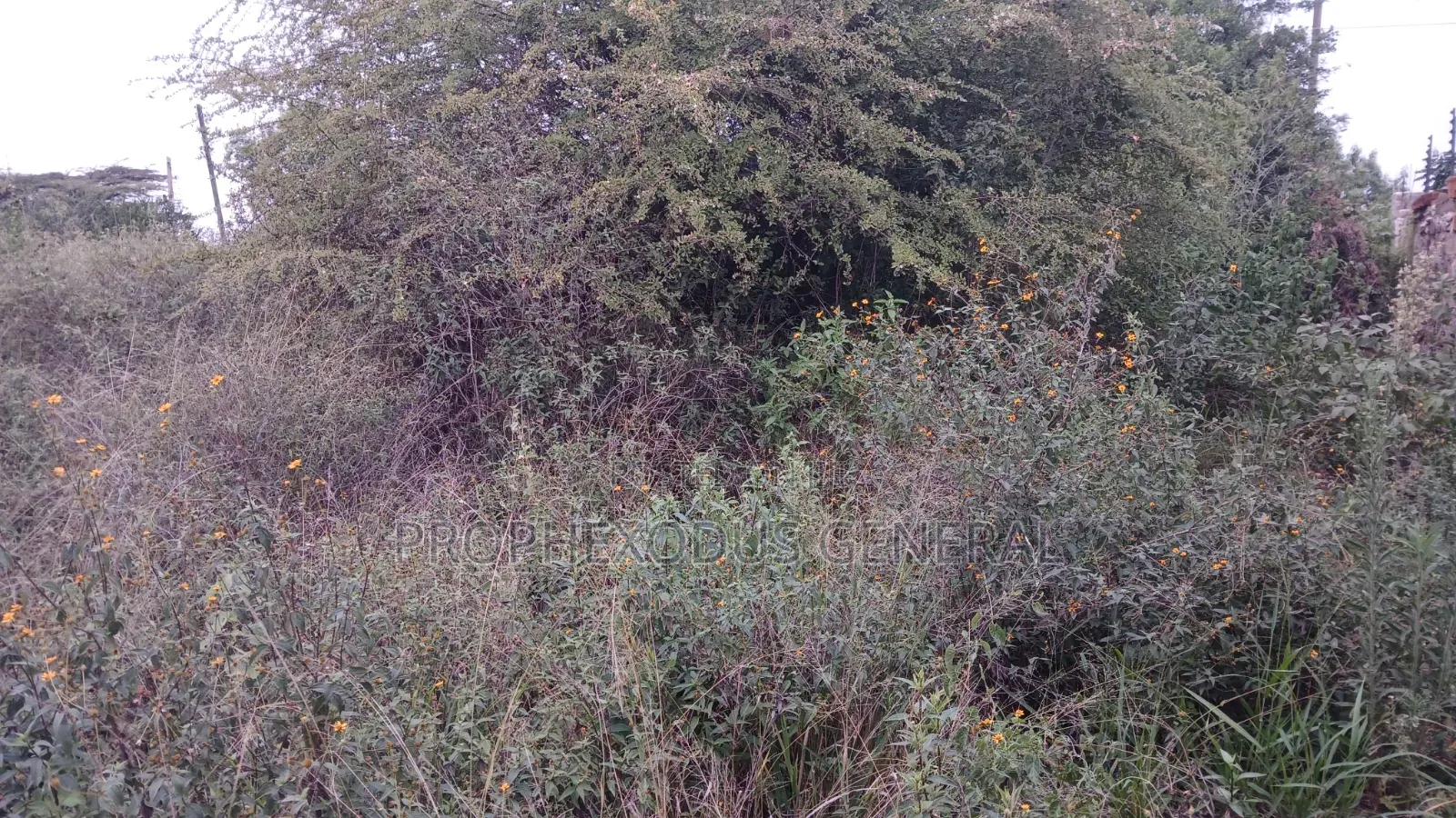 1/8 Acre Plots for Sale in Ongata Rongai Kamura Oloika Road in Nkoroi