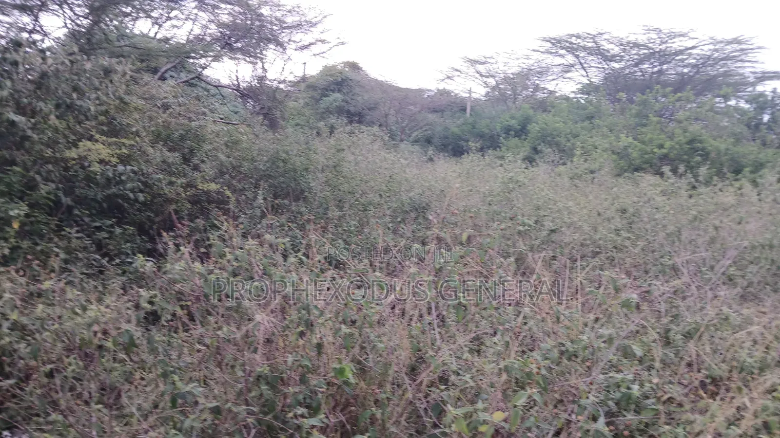 1/8 Acre Plots for Sale in Ongata Rongai Kamura Oloika Road in Nkoroi
