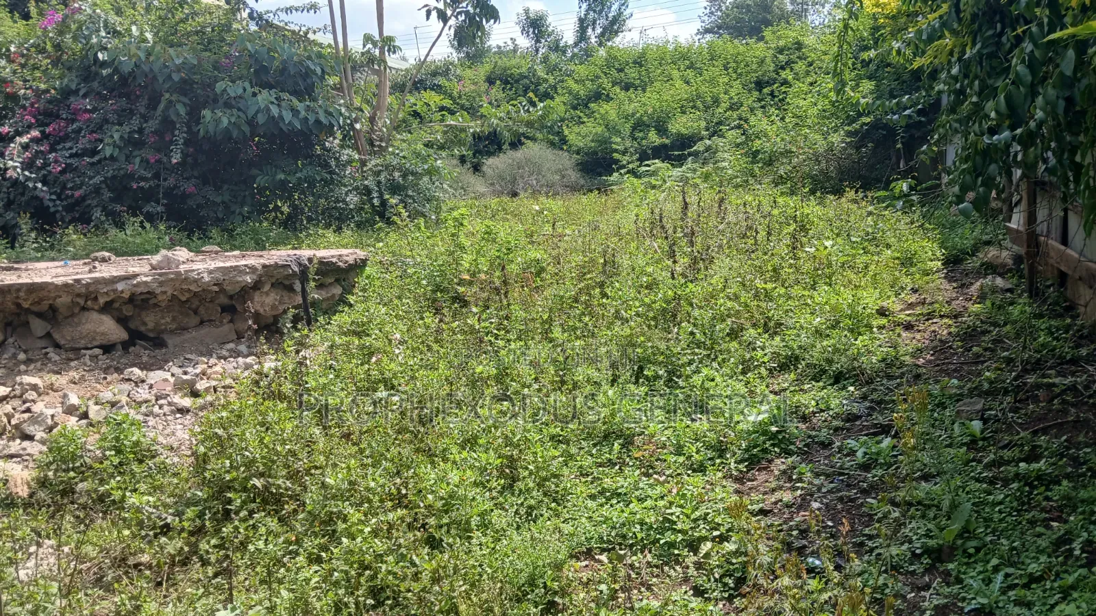 50ft by 100ft Commercial Plots for Sale in O/Rongai Nkoroi  Kamura in Nkoroi