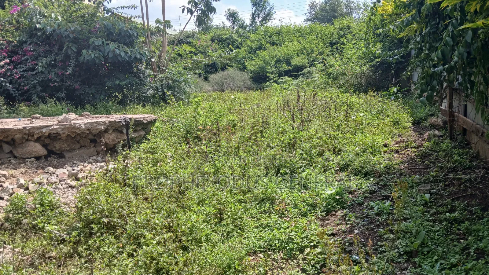 50ft by 100ft Commercial Plots for Sale in O/Rongai Nkoroi  Kamura in Nkoroi