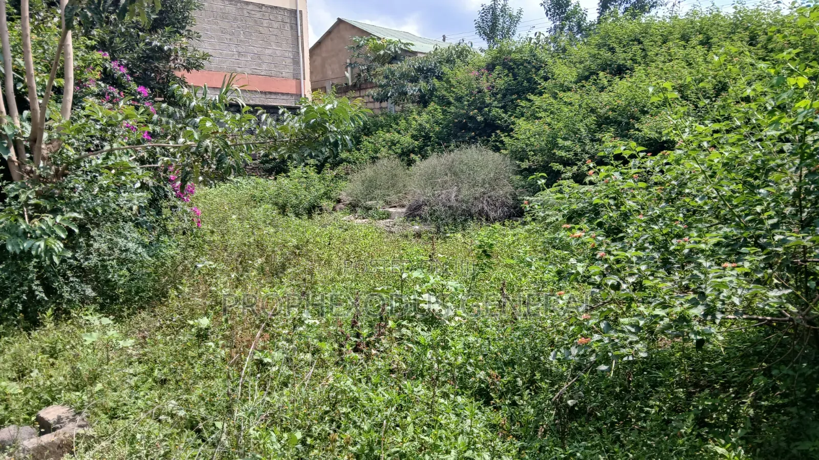 50ft by 100ft Commercial Plots for Sale in O/Rongai Nkoroi  Kamura in Nkoroi