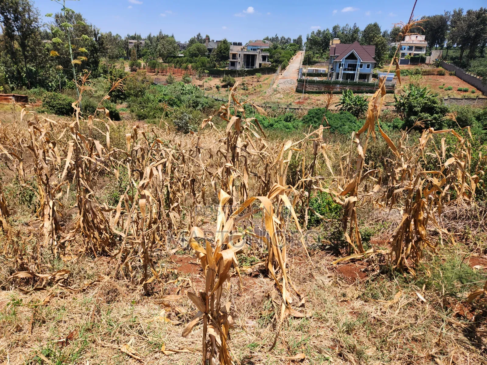Mugutha 200by200 Ruiru in RedSoil Estate