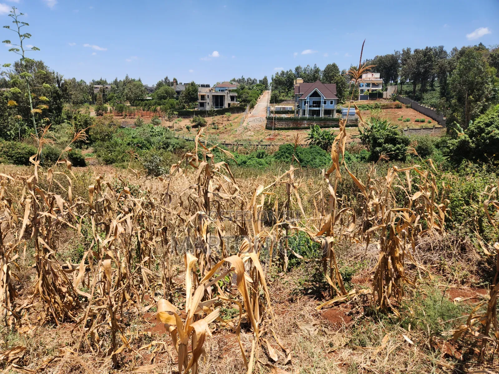 Mugutha 200by200 Ruiru in RedSoil Estate