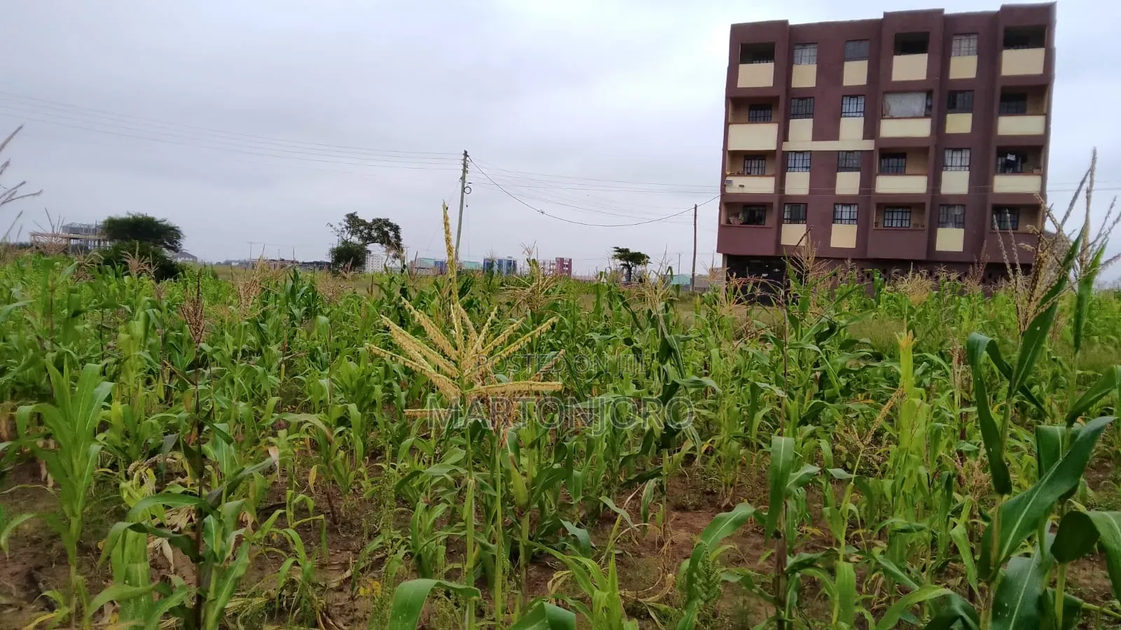Thika Gatitu Commercial Plots in Thika CBD
