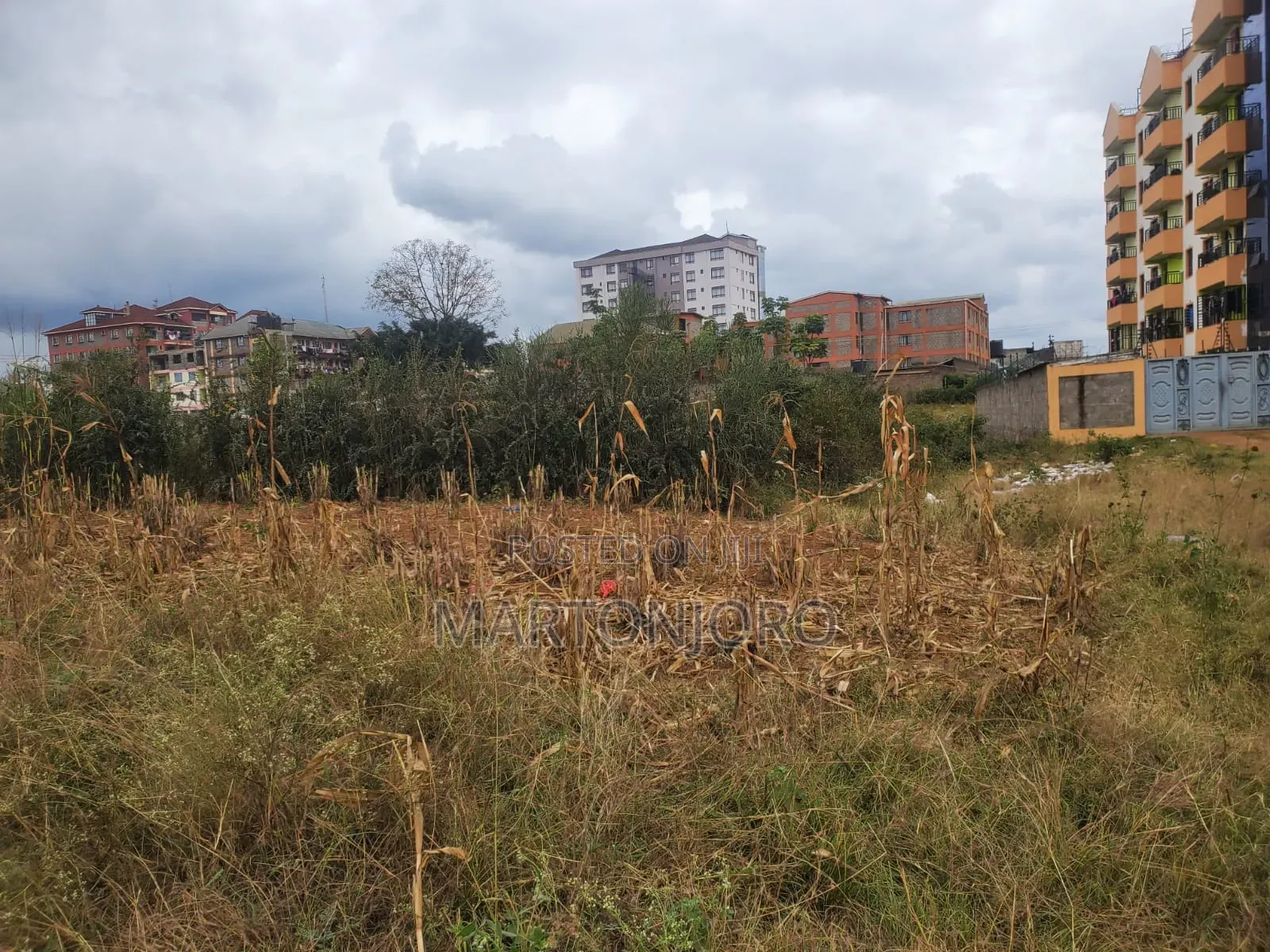 Jomoko Behide TIPS Thika in Thika CBD