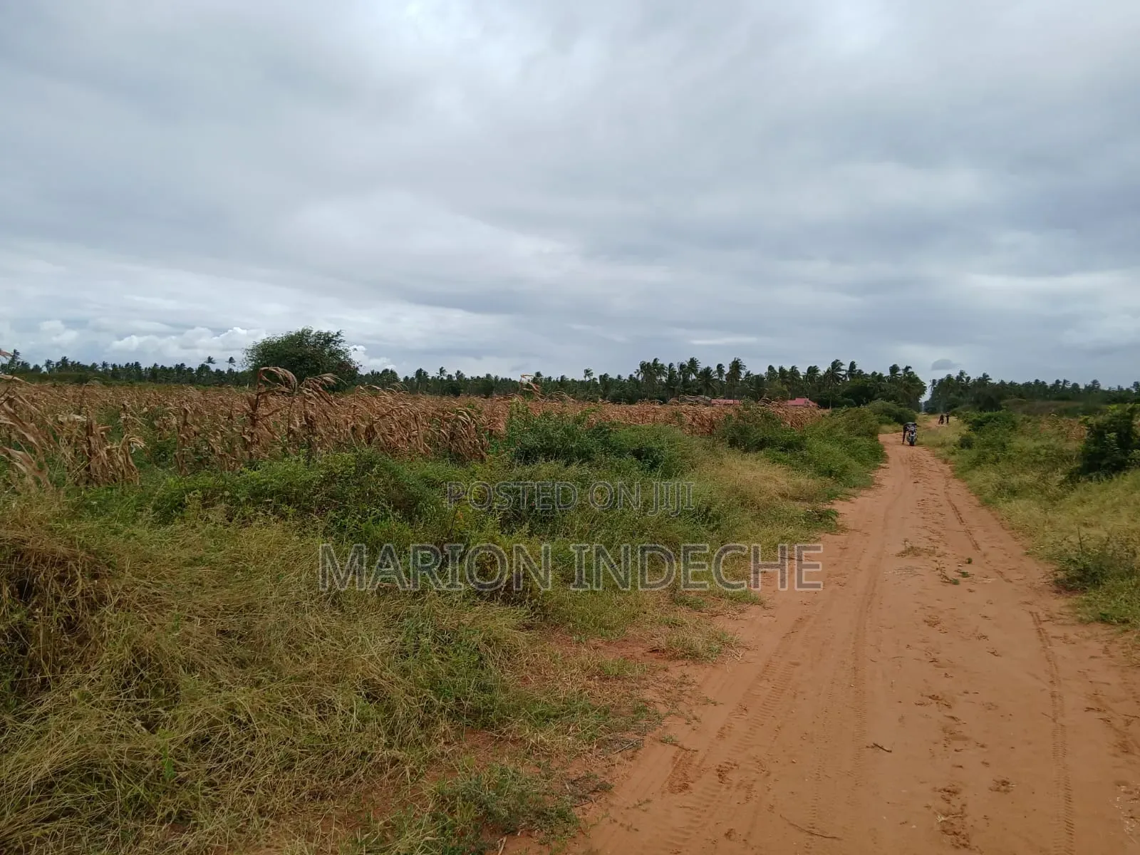 Prime 2nd Row Beach Plots for Sale in Kilifi Chumani in Tezo
