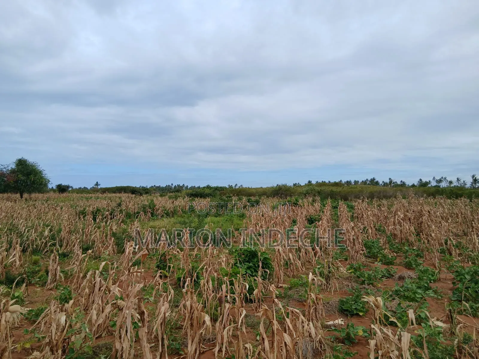 Prime 2nd Row Beach Plots for Sale in Kilifi Chumani in Tezo