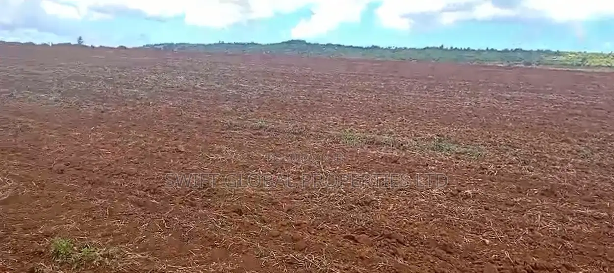 700 Acres on Permanent River Water Is Available for Sale in Laikipia in Shamata