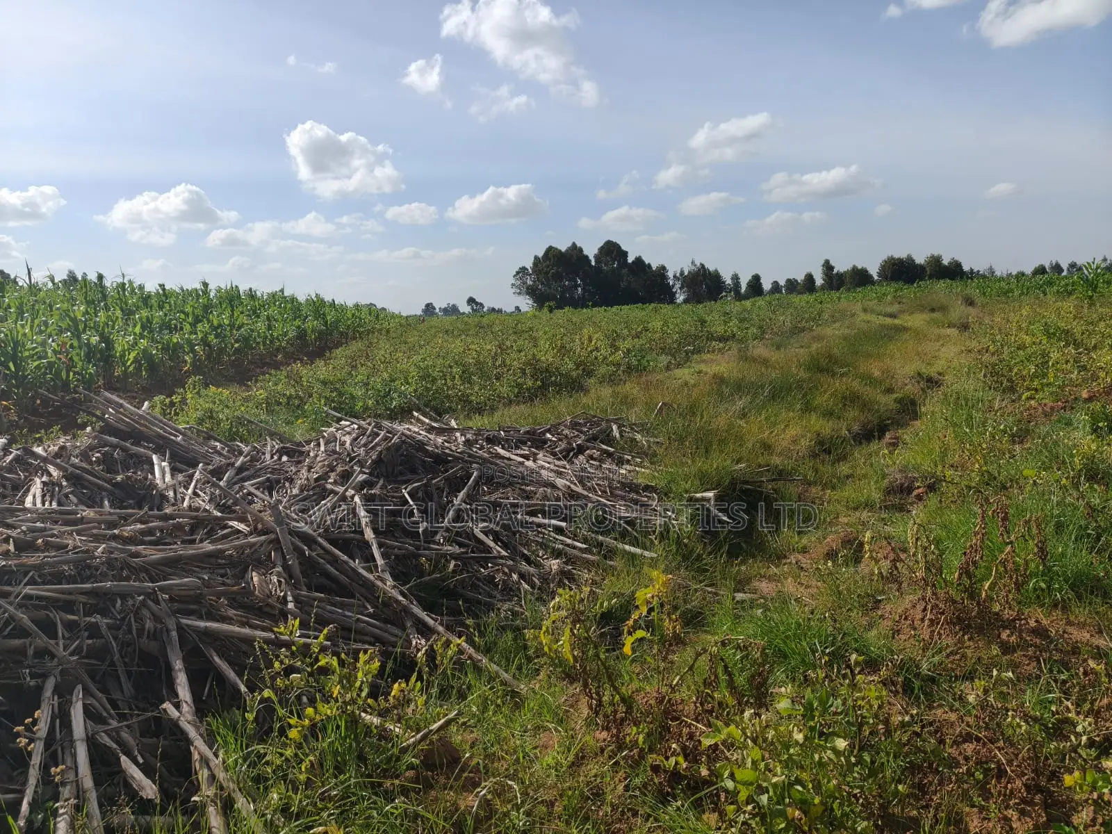 700 Acres on Permanent River Water Is Available for Sale in Laikipia in Shamata
