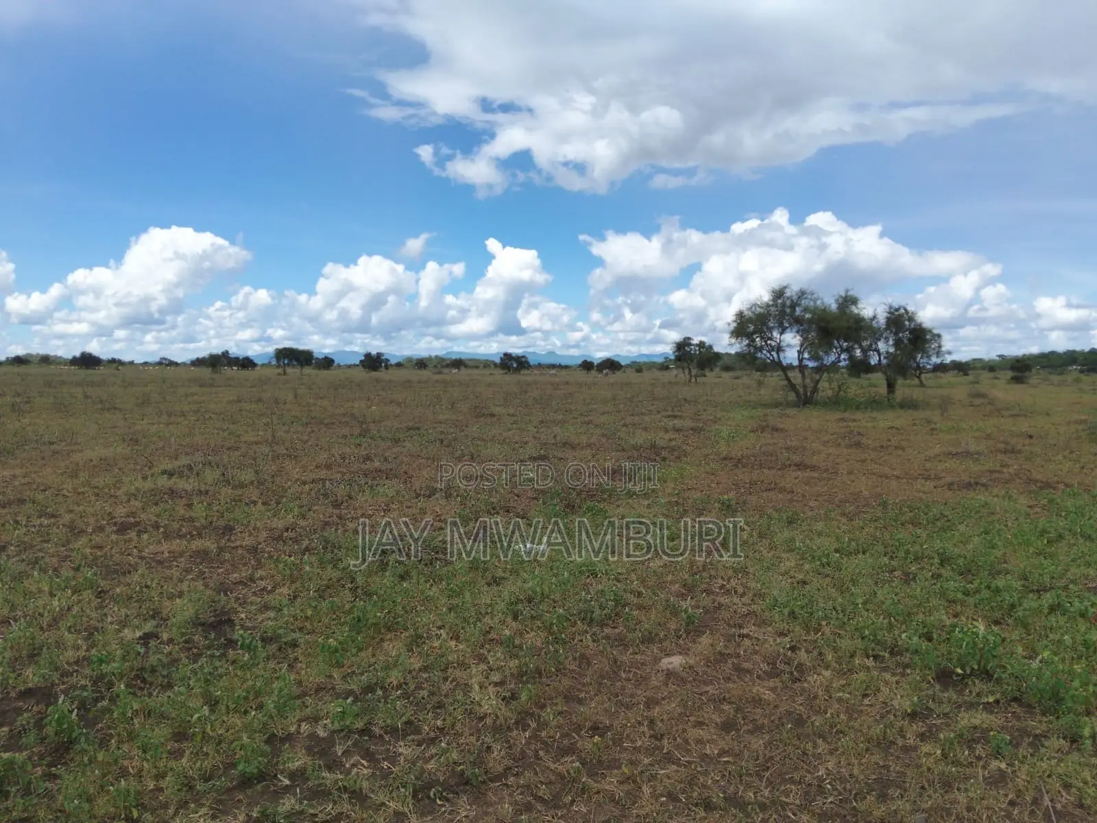 10 Acres Land Kimana Loitok in Loitoktok