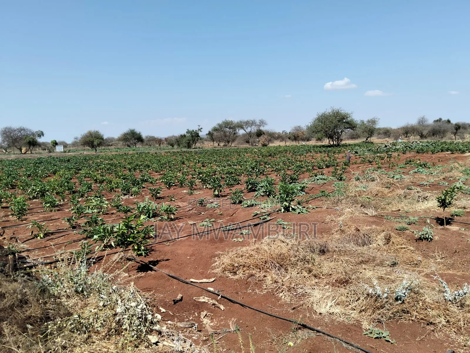 10 Acres Land Kimana Loitok in Loitoktok