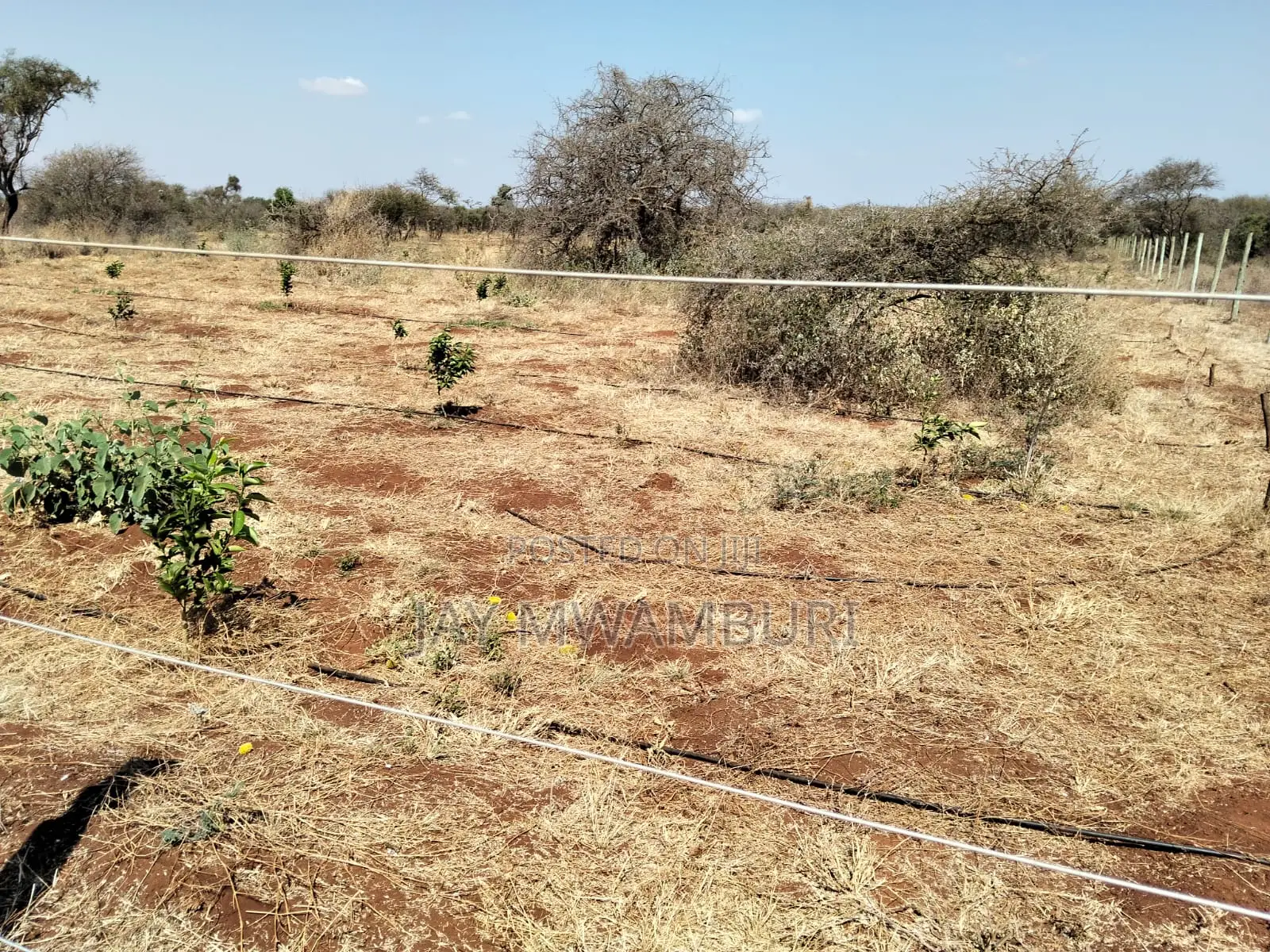 10 Acres Land Kimana Loitok in Loitoktok