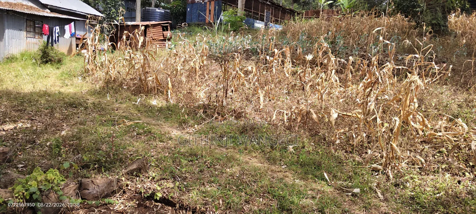 Half Acre Land on Sale in Ngong Olkeri in Ol Keri