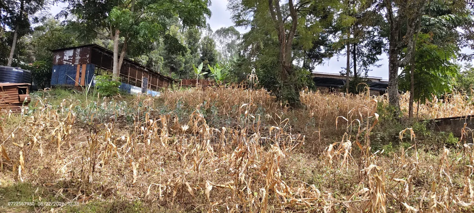 Half Acre Land on Sale in Ngong Olkeri in Ol Keri