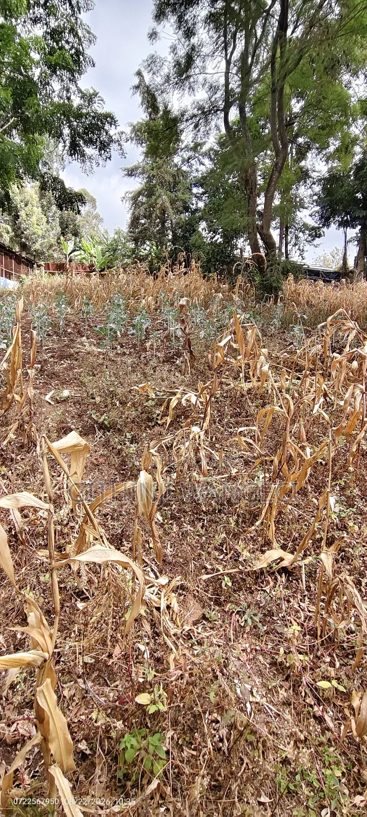 Half Acre Land on Sale in Ngong Olkeri in Ol Keri