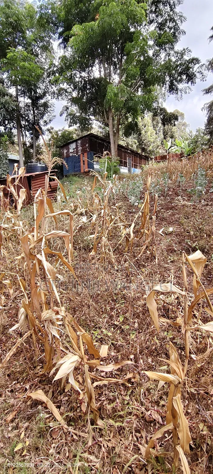 Half Acre Land on Sale in Ngong Olkeri in Ol Keri